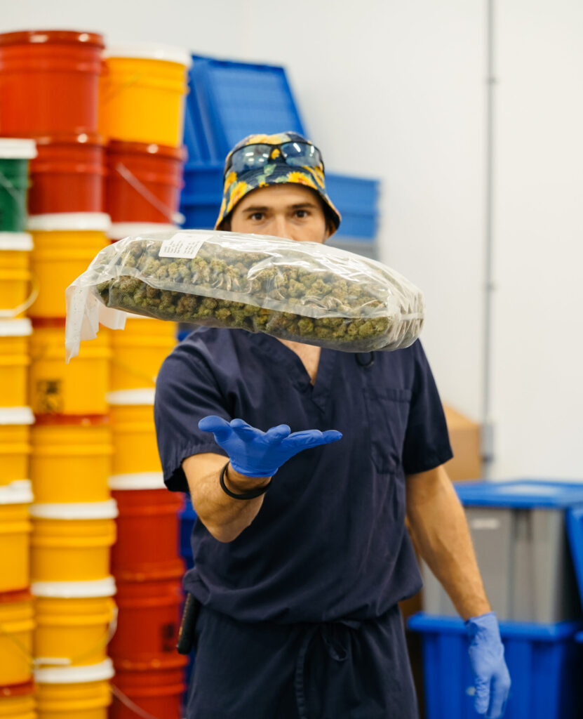 Best cannabis strains for ADHD