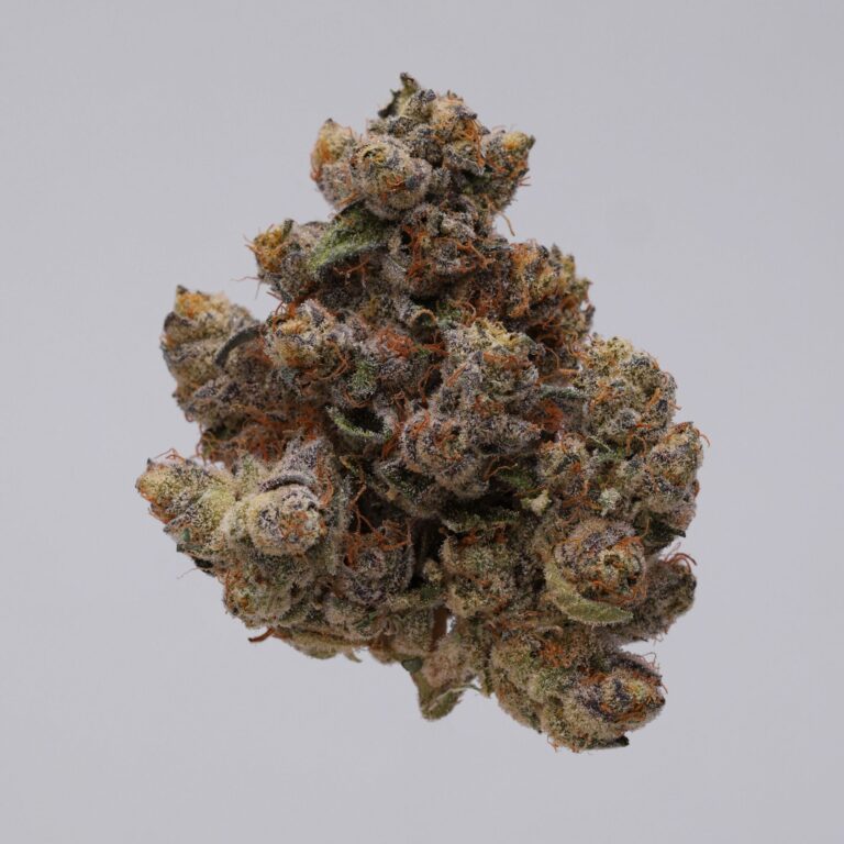 Gelato #33