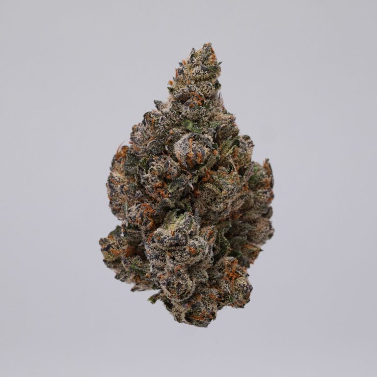 Lemon Cherry Gelato