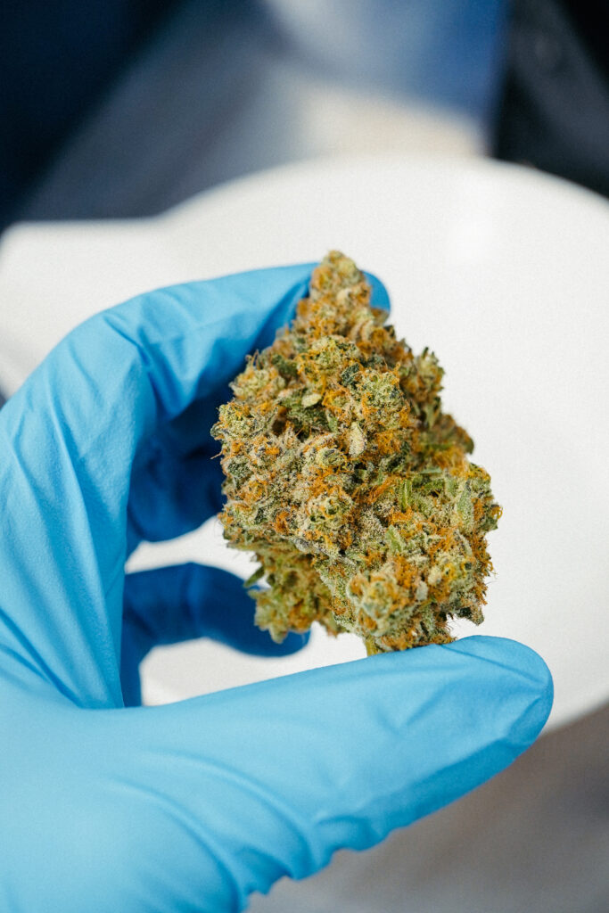 Can cannabis help you lose weight?