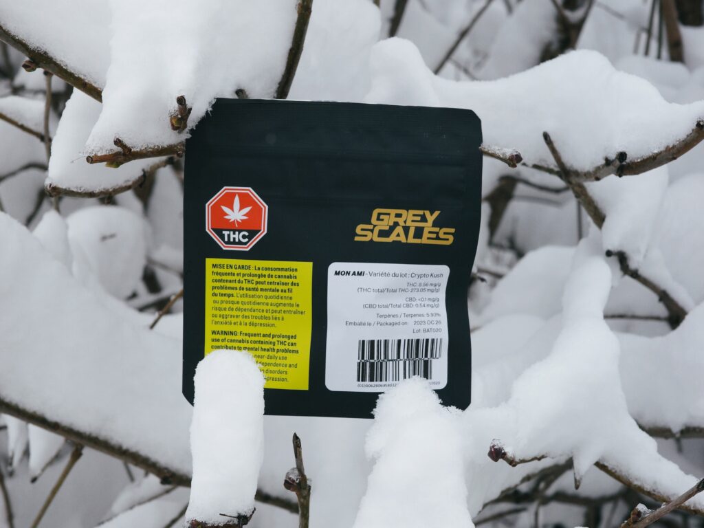 Best SQDC Products: 10 Must-Haves in 2026