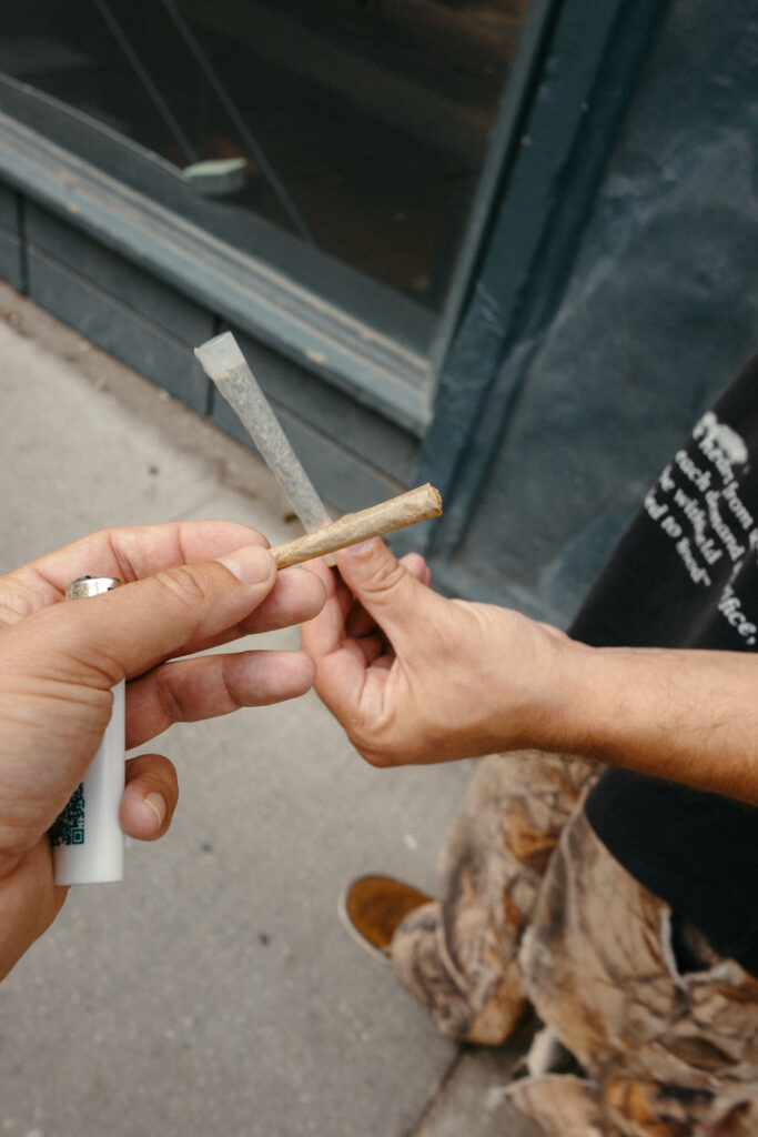 Best Strains on OCS : Top Ontario Cannabis Store Flower in 2026