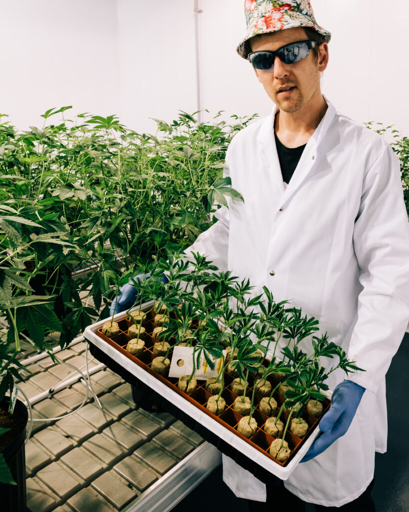 Canadian Cannabis Companies : A Directory of the Country’s Licensed Producers
