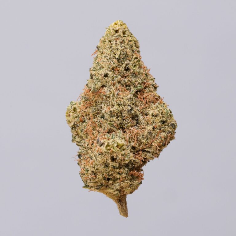 Gelato Dream
