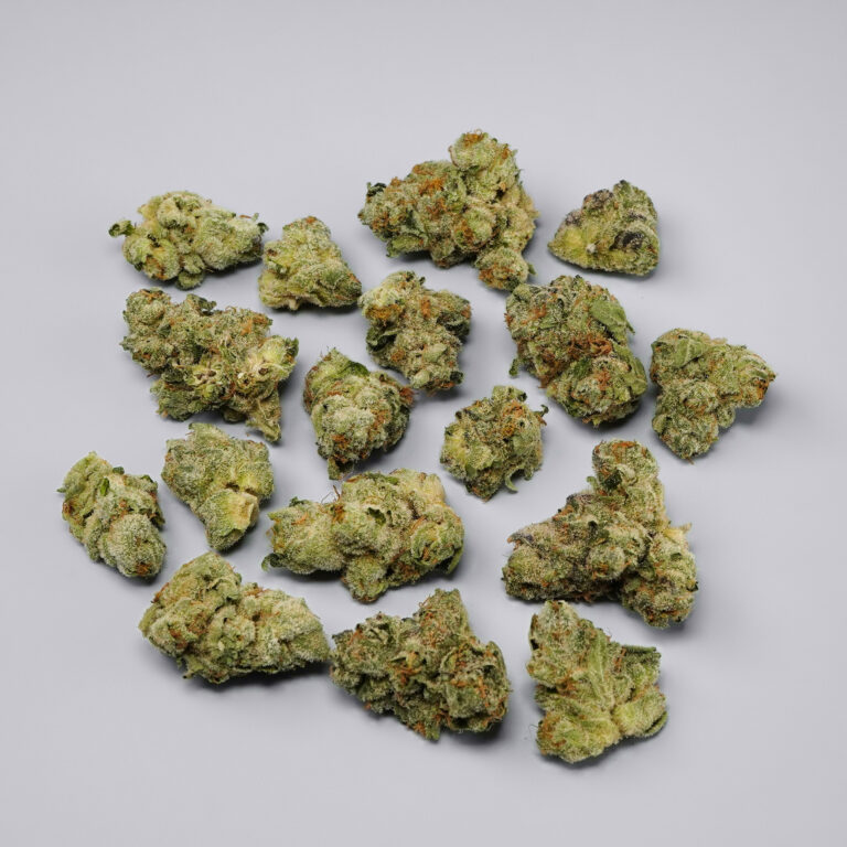 Gelato 33 Smalls Flower